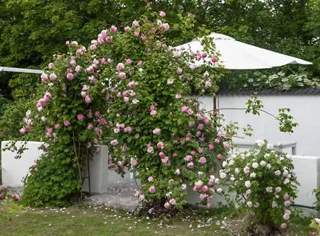 Vallby Cottage Enkoping Exterior photo